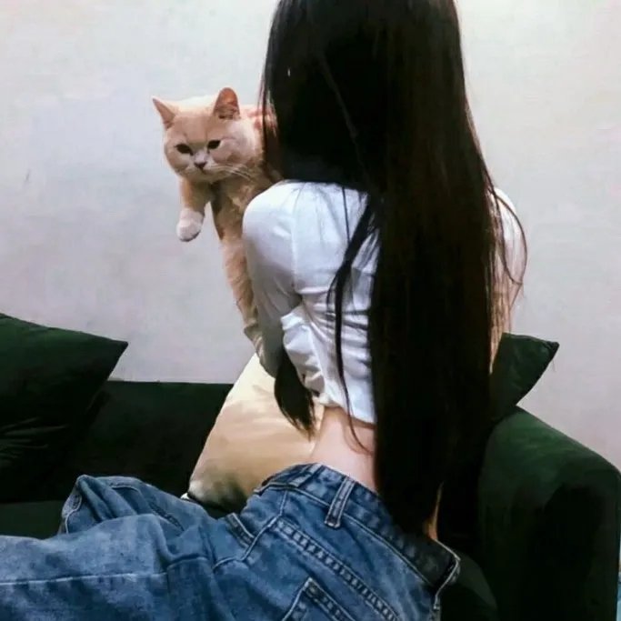 杀手·婚礼之路